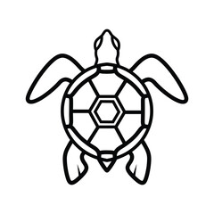 Obraz premium Simple black and white line drawing of a turtle from above