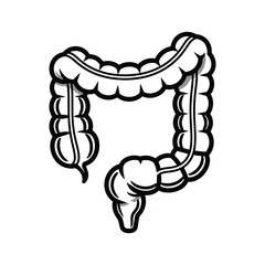 Human colon anatomy illustration black white