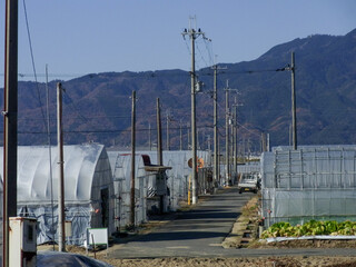 ビニールハウスでのハウス栽培をしている農業のイメージと軽トラック