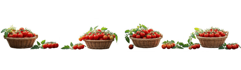 Cherry Tomatoes in Baskets