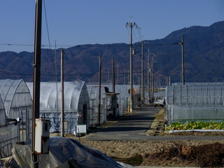 ビニールハウスでのハウス栽培をしている農業のイメージと軽トラック