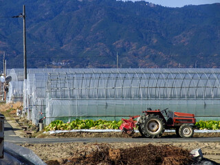 ビニールハウスでのハウス栽培をしている農業のイメージとトラクター
