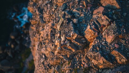 Close-up of a rugged, textured tree bark with warm, earthy tones and intricate patterns.