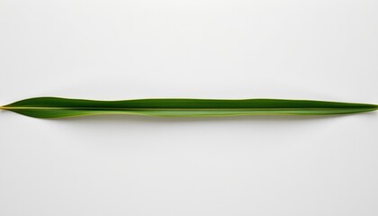 Fototapeta premium A single banana against a neutral background. The banana is elongated with its natural curve, exhibiting a ripe yellow color that suggests it's ready to eat