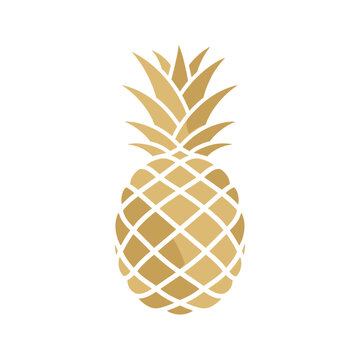 Golden pineapple illustration isolated on white background tropical fruit design.