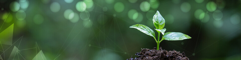 Linkedin banner featuring innovation and growth © Abdul