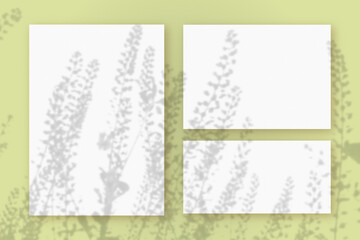 Natural light casts shadows from wildflowers on horizontal and vertical sheets of white paper lying on a green background. Mockup