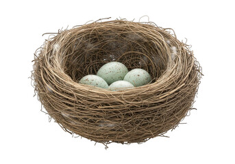 Obraz premium A small bird nest filled with four speckled eggs isolated on transparent background