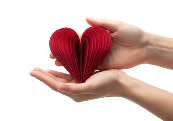 Fototapeta premium Two hands gently holding a red paper heart shape isolated on transparent background