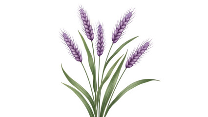 Lilac flowers isolated on transparent background