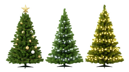 Three christmas trees isolated on transparent background with festive lights