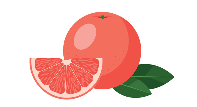 Vibrant pink grapefruit illustration showing one whole fruit with a juicy cut slice and green leaves isolated on a white background.
