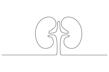 One line drawing of a pair of kidneys for urological health and medical logo design