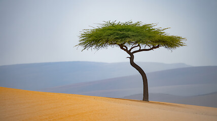 Lone Green Tree in Vast Desert Landscape under Dramatic Sky