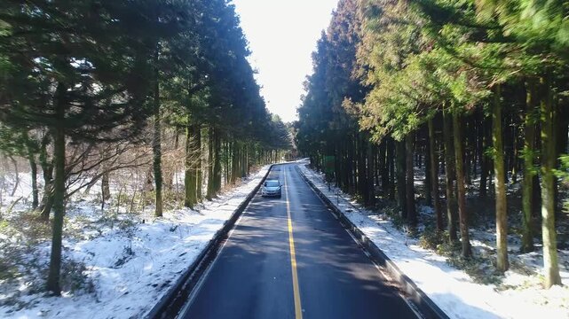 Winter Aerial View of Bijarim-ro Forest Road, Jeju Island