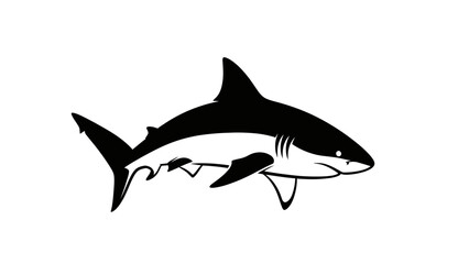 Obraz premium Powerful Black and White Shark Swimming Gracefully in Ocean Waters.