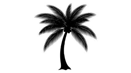Obraz premium Silhouette of a tropical palm tree with lush fronds.