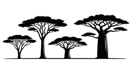 Fototapeta premium Silhouette of diverse African trees including baobab and acacia.