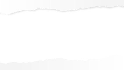 Obraz premium Torn paper edge with black space