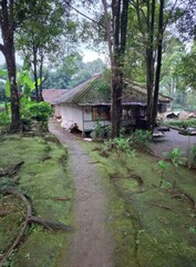 A serene pathway leading to a traditional moss-covered house nestled deep within a lush green forest
