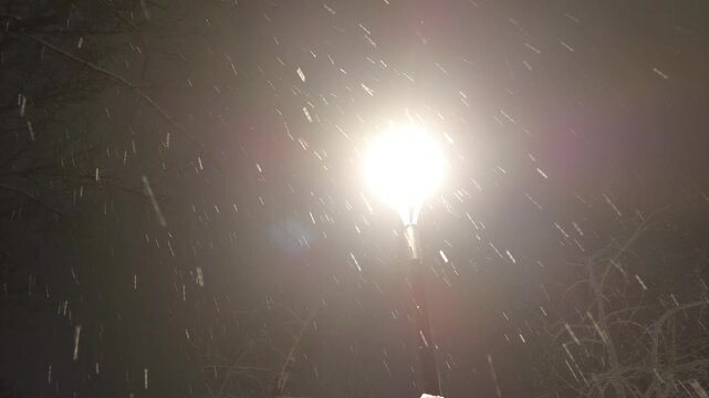a street lamp at night during a snowfall