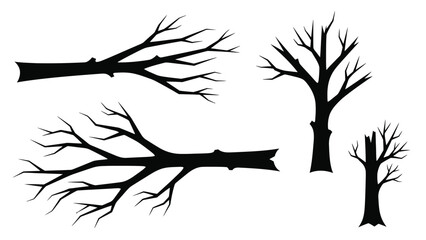 Silhouetted bare tree branches and trunks against a white background