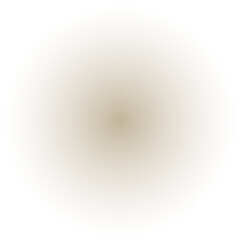 Minimalist beige radial gradient circle transitioning smoothly on a transparent background, creating a professional design element for modern digital branding and neutral creative backgrounds