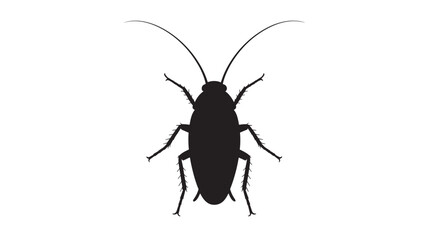 Cockroach Silhouette Isolated on White Background