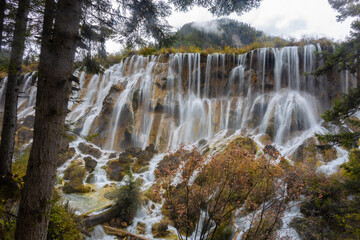 Naklejka premium The beautiful Nuorilang Waterfall in Jiuzhaigou National Park, Sichuan Province, stands 24.5 meters high and 320 meters wide. This is one of the six wonders of Jiuzhaigou