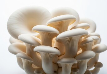Cluster of white beech mushrooms isolated on white background