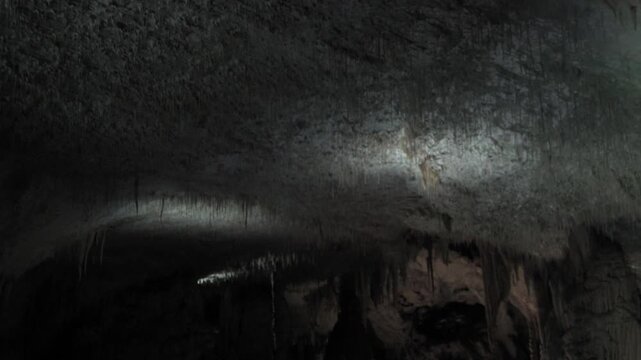 Left pan across stalactites on the ceiling of Postojna Cave in Croatia. Dark underground limestone chamber with dramatic textures and an eerie mood.