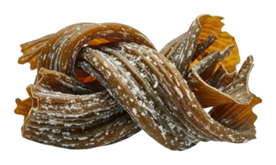 Kelp seaweed twisted display ocean depths food nature scene isolated on transparent background