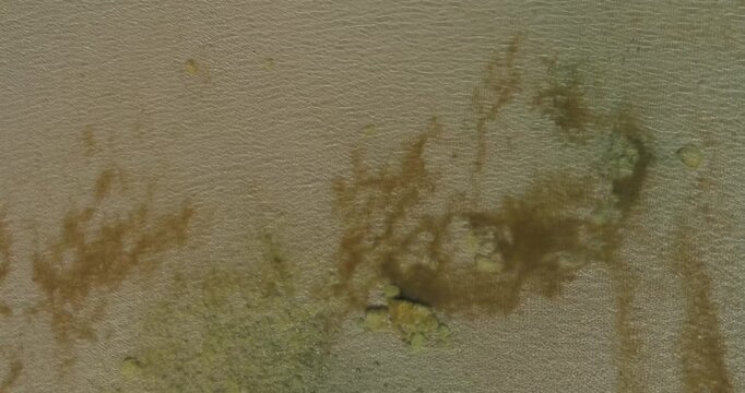 Aerial view of a shallow water coastal area, displaying natural underwater textures. The lighter, rippled areas are most likely sand, while the darker and greenish patches are a mix of submerged veget