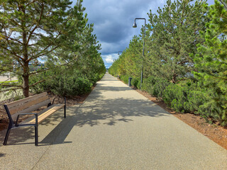 Obraz premium A path with a bench and trees. The bench is empty. The path is made of gravel