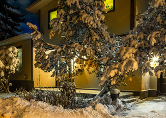 Entrence to a house in winter season with snow lighted with house lights