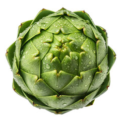 Fototapeta premium Fresh Green Artichoke with Water Droplets Isolated on white background