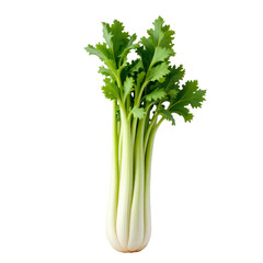Celery bunch with vibrant green leaves and crisp stalks isolated on white background