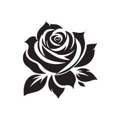Fototapeta premium black rose vector illustration