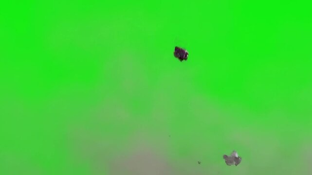 Exploding Asteroids Debris Flying Through Space on Green Screen Background.