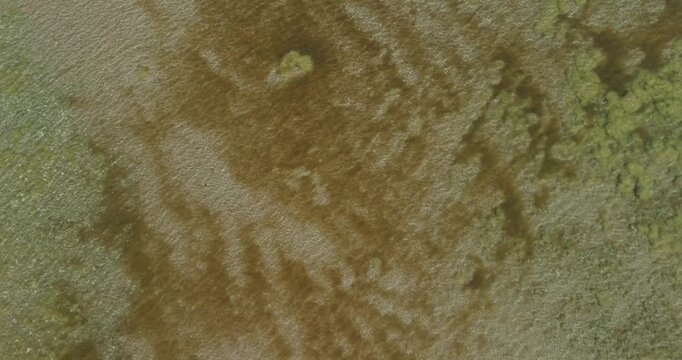 Aerial view of a shallow water coastal area, displaying natural underwater textures. The lighter, rippled areas are most likely sand, while the darker and greenish patches are a mix of submerged veget