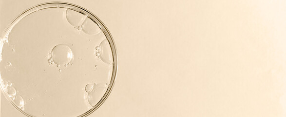 Liquid cosmetic product for the skin in a Petri dish. Copy space