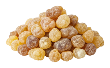 Harvesting natural resin forest food organic environment isolated on transparent background