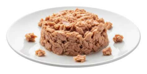 Canned tuna preparation kitchen food bright top view isolated on transparent background