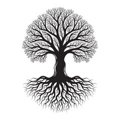 Black and white of a tree with visible roots and branches