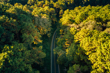 Aerial view of roads and forest in the evening; environmentally friendly travel and transportation.