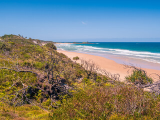 Coastal View with Vegetation Yuraygir National Park