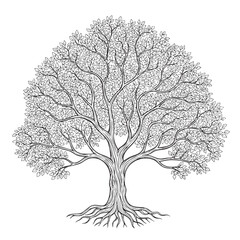 Detailed black and white line of a large deciduous tree with intricate branches and exposed roots