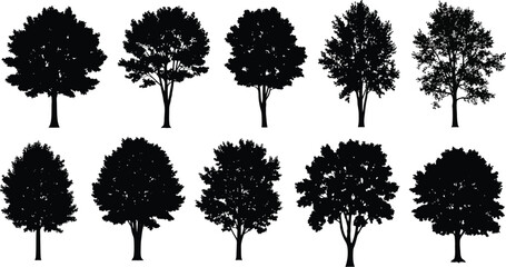 Fototapeta premium Collection of various black tree silhouettes on transparent background