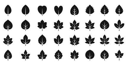 Collection of various black leaf silhouettes on white background