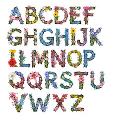 Naklejka premium Floral Alphabet Set with Botanical Flowers and Green Leaves Illustration